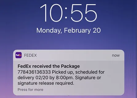 Federal Express delivery